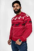 Mens Red Nordic Stag Festive Christmas Jumper