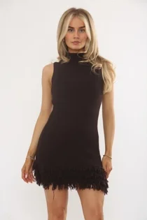 Brown Ribbed Knit Sleeveless Turtleneck Frilled Hem Mini Dress